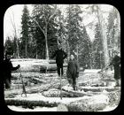 Men Rolling Logs